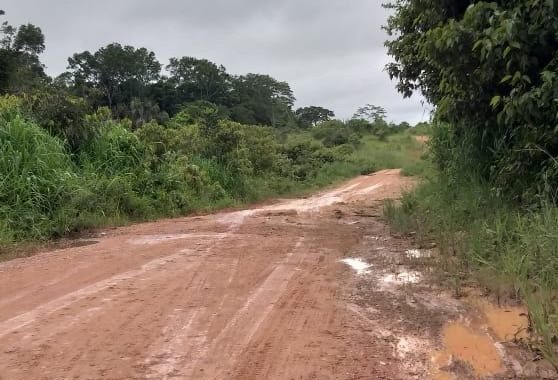 Amilcar Rios reivindica obras em ponte estratégica do Vale do Seringal