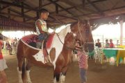 Nildomar reinvidica Cadastro de Asssociação Amigos da Equoterapia no SIGCON