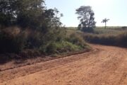 Rogério e Marquinhos focam em melhorias nas linhas 