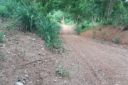 Marquinhos e Graeff reivindicam serviços na zona rural