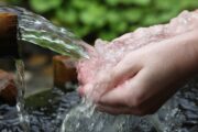 Palito intervém pelas nascentes d'água na cidade e em Novo Horizonte