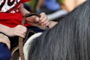 Legislativo e Executivo celebram conquista para a equoterapia em Castanheira