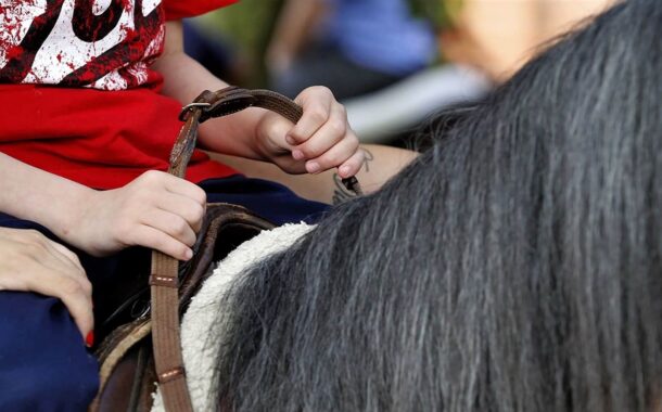 Legislativo e Executivo celebram conquista para a equoterapia em Castanheira