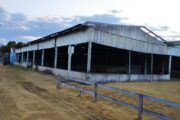 Graeff cobra demolição e novo barracão no Estádio Municipal