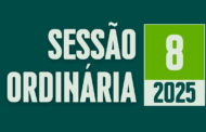Transmissão da 8ª Sessão Ordinária de 2025