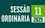 Transmissão da 11ª Sessão Ordinária de 2025