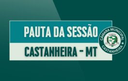 Pauta da 17ª Sessão Ordinária de 2025