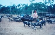 Linha Kubitschek: Um caminho que guarda histórias e semeia legados