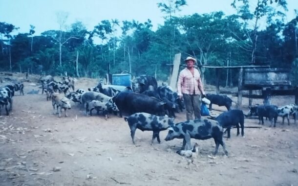 Linha Kubitschek: Um caminho que guarda histórias e semeia legados