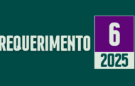 Discussão e Votação do Requerimento nº 06/2025