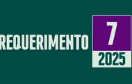 Discussão e Votação do Requerimento nº 07/2025