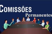 A importância das Comissões Permanentes na Câmara Municipal de Castanheira