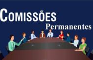 A importância das Comissões Permanentes na Câmara Municipal de Castanheira