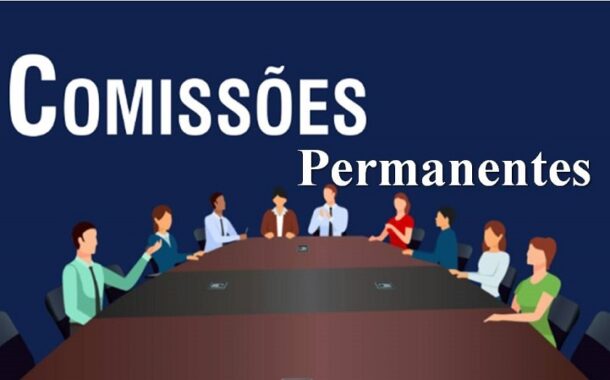 A importância das Comissões Permanentes na Câmara Municipal de Castanheira