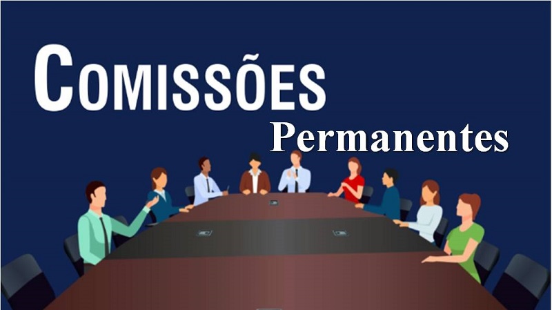 A importância das Comissões Permanentes na Câmara Municipal de Castanheira