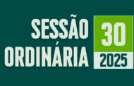 Transmissão da 30ª Sessão Ordinária de 2025