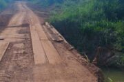 Carlão do Sal pleiteia manutenção de ponte em Novo Horizonte