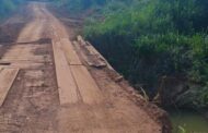 Carlão do Sal pleiteia manutenção de ponte em Novo Horizonte